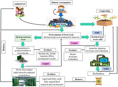 Frontiers | Food Waste Valorisation For Biogas-Based Bioenergy ...